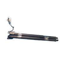 Haval H6 Pair Of Tailgate Struts