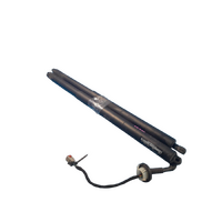 Ford Everest Ub Pair Of Tailgate Strut