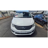 Ldv G10 Sv7c, Front Bumper Bar
