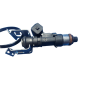 Ford Focus Fuel Injector