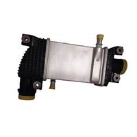 Ldv T60 Intercooler C00184440 Genuine