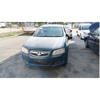 Holden Commodore Left Rear Strut