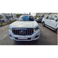 Ldv T60 Left Rear Door Trim